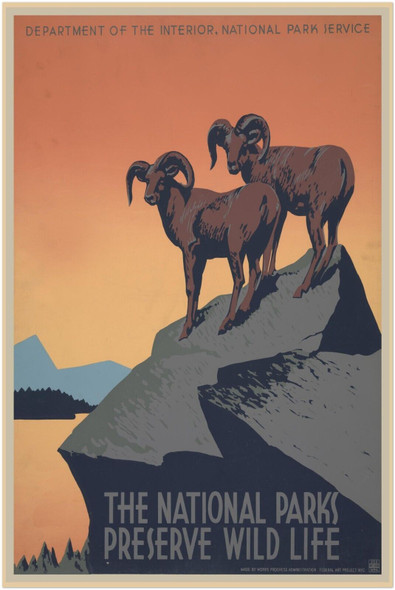 Preserve Wild Life  - Vintage National Park Service Poster