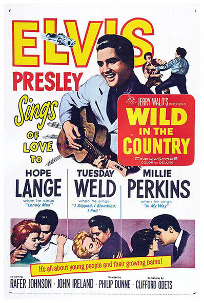 Wild in the Country - Elvis Presley - 1961 - Movie Poster - US Version