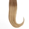 HOT HEADS X001 #8/20/613BY BALAYAGE ORIG 14-16IN