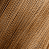 Gold Haircare 8.00 Light Blonde Premium Color