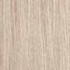 Moroccanoil Color Calypso  10B Gloss Lightest Ash Blonde