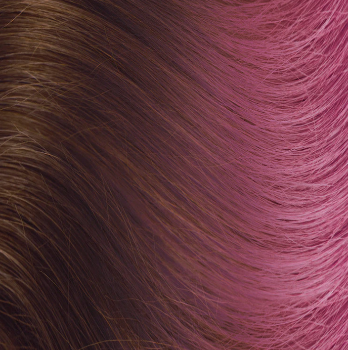 Hot Heads* X192 #5/VI THE BAND 18-20in