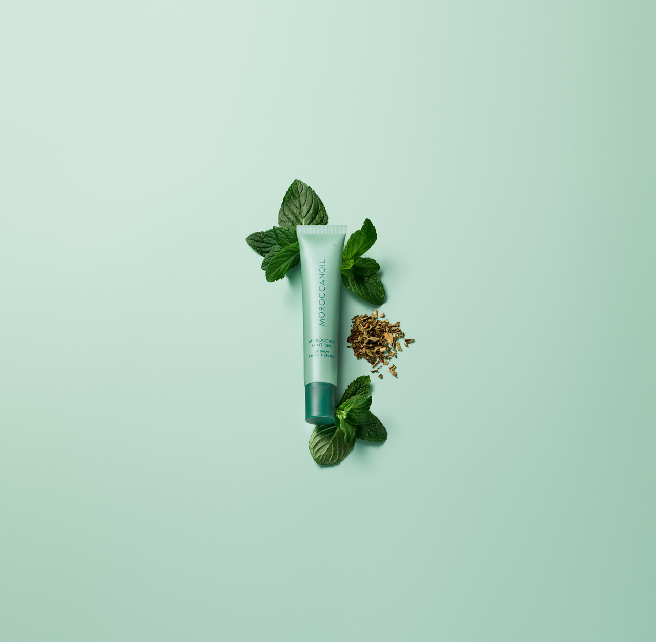 Moroccanoil Moroccan Mint Tea Lip Balm