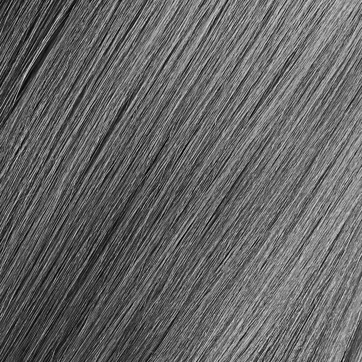 Gold Haircare 0.11 Ash Booster