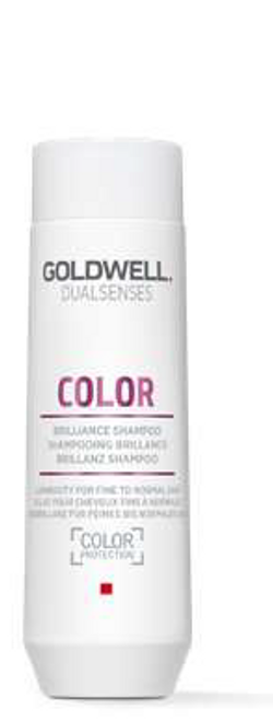Goldwell Dualsenses Color Brilliance Shampoo Stocking Stuffer Holiday 2025