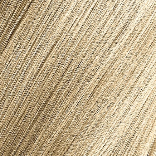 Gold Haircare 10 Ultra Light Blonde Premium Color