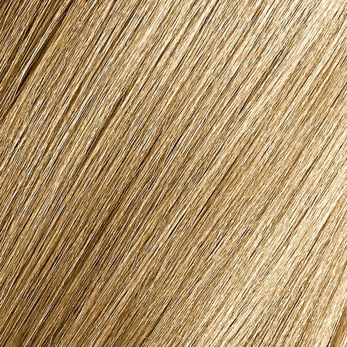 Gold Haircare 11.00 Platinum Natural Blonde Premium Color