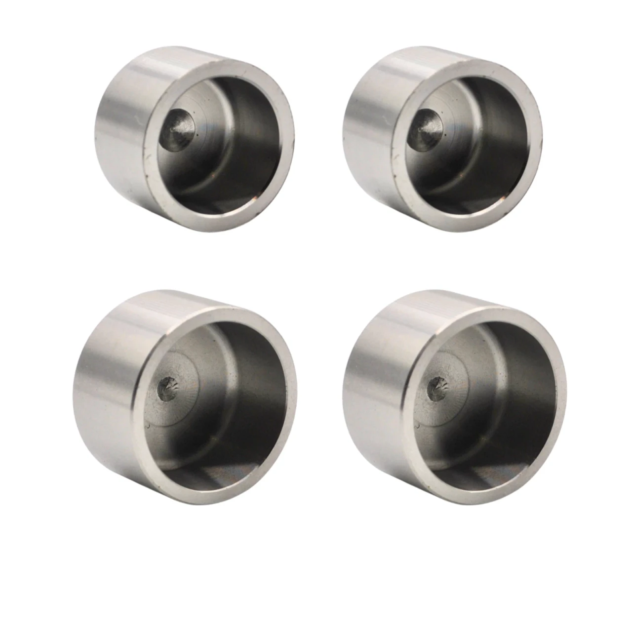 Moto Guzzi V7 III Front brake caliper piston set
