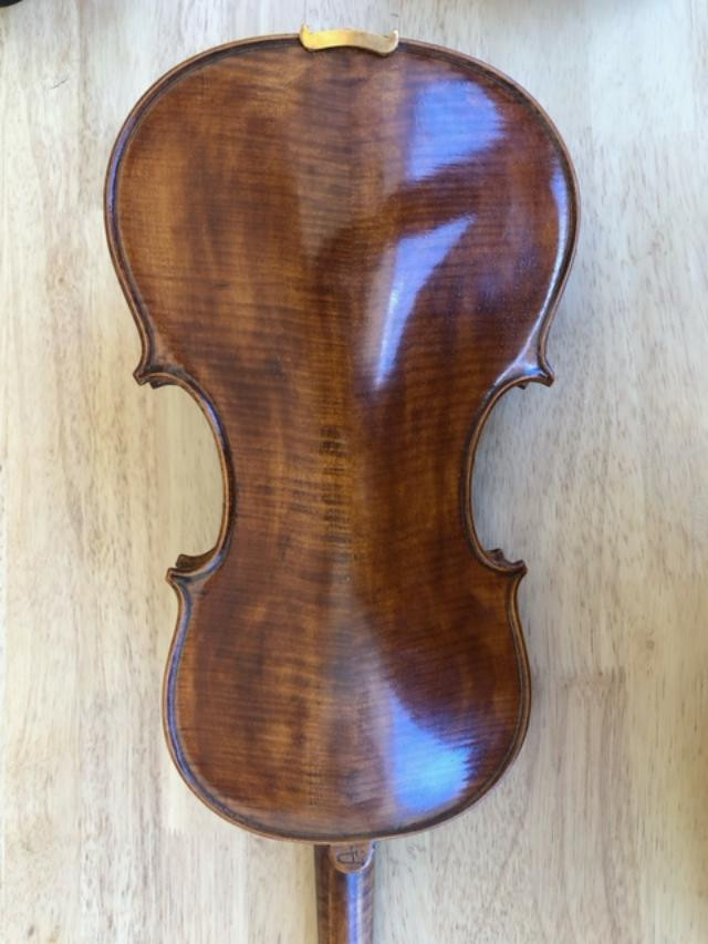 Struna Classroom Violin (the safest violin to buy online )