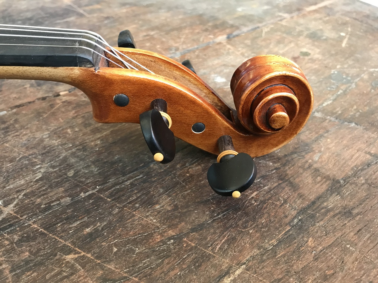 Struna Classroom Violin (the safest violin to buy online )