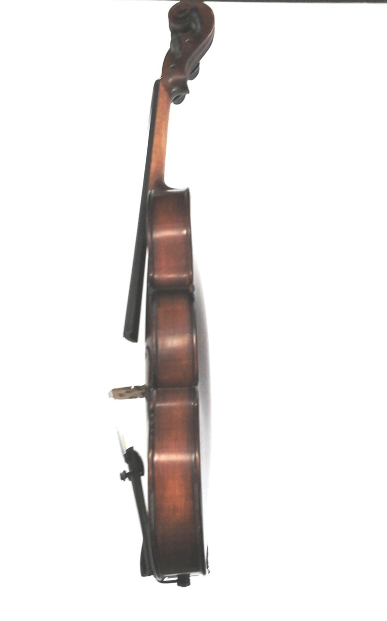 Gliga I 4/4 Violin Outfit (includes Bow, Case & Pro Set-Up