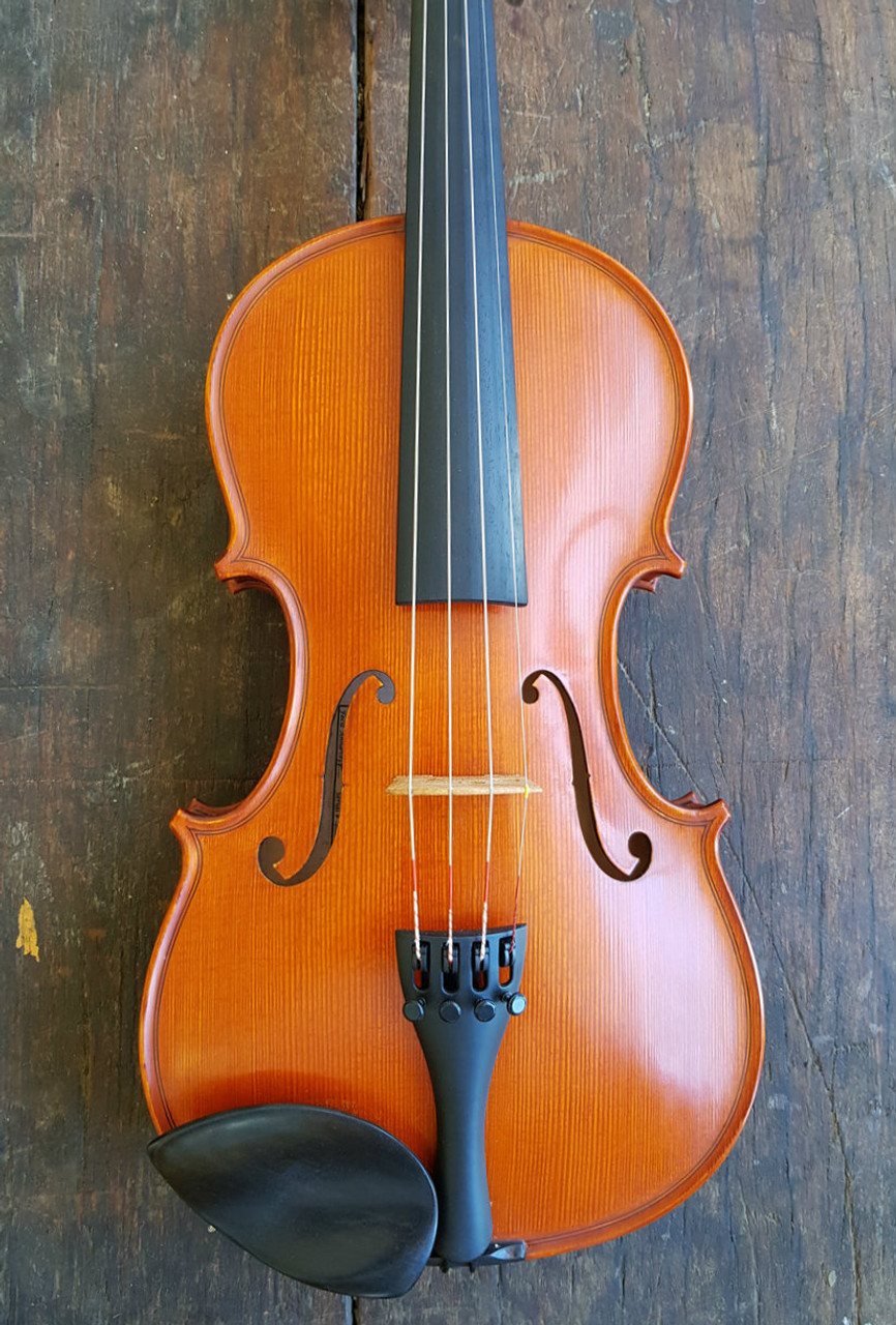 Gliga Professional 4/4 Violin (includes Bow, Case + Pro Set-Up 