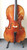 Struna Master 7/8 Cello Outfit (includes Bow, Soft Case & Pro Set-Up)