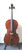 Gliga II 1/4 Cello Outfit (includes Bow, Soft Case & Pro Set-Up)