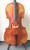 Struna Maestro 7/8 Cello Outfit (includes Bow, Soft Case & Pro Set-Up)