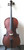 Enrico Student Plus II 1/2 Cello Outfit (includes Bow, Semi-Hard Case & Pro Set-Up)