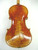 Struna Master 15.5" Viola Outfit (includes Bow, Case & Pro Set-Up)