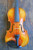 Struna Master 4/4 Violin Outfit (includes Bow, Case & Pro Set-Up)