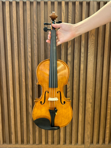 Limited Edition Paul J Ridden Violin