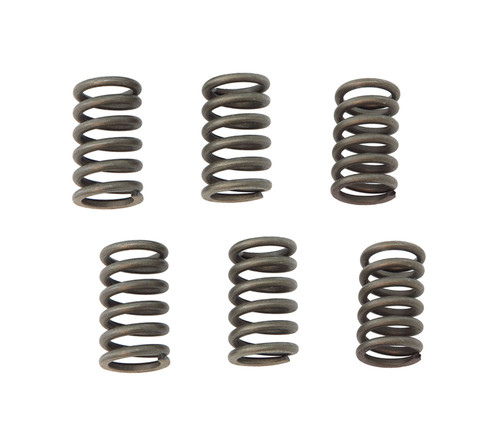 EBC Clutch Spring Set - CSK23 - Honda CR80 CRF100/110 XR100 - Kawasaki EN/EX500 ZG/ZX1400