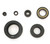 Engine Oil Seal Kit - Honda CB750C/F/K/L/SC