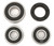 Rising Sun Rear Wheel Bearing & Seal Kit - Honda CB650 CB750