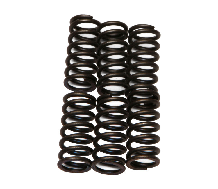 Toggle Spring Csk EBC Clutch Spring Set - CSK6 - Honda Kawasaki Suzuki