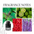 MB MONT BLANC EXPLORER 3.3 EDP (M)