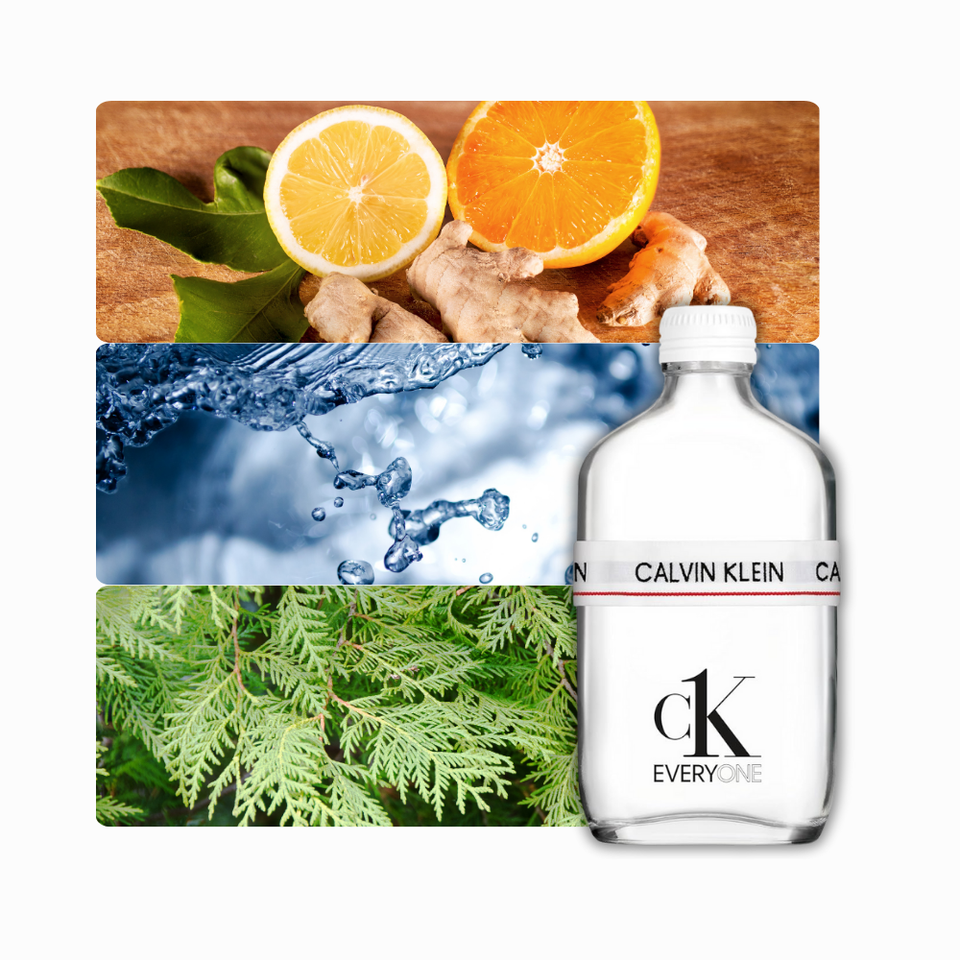 Calvin Klein CK Everyone 6.7 Edt (U)