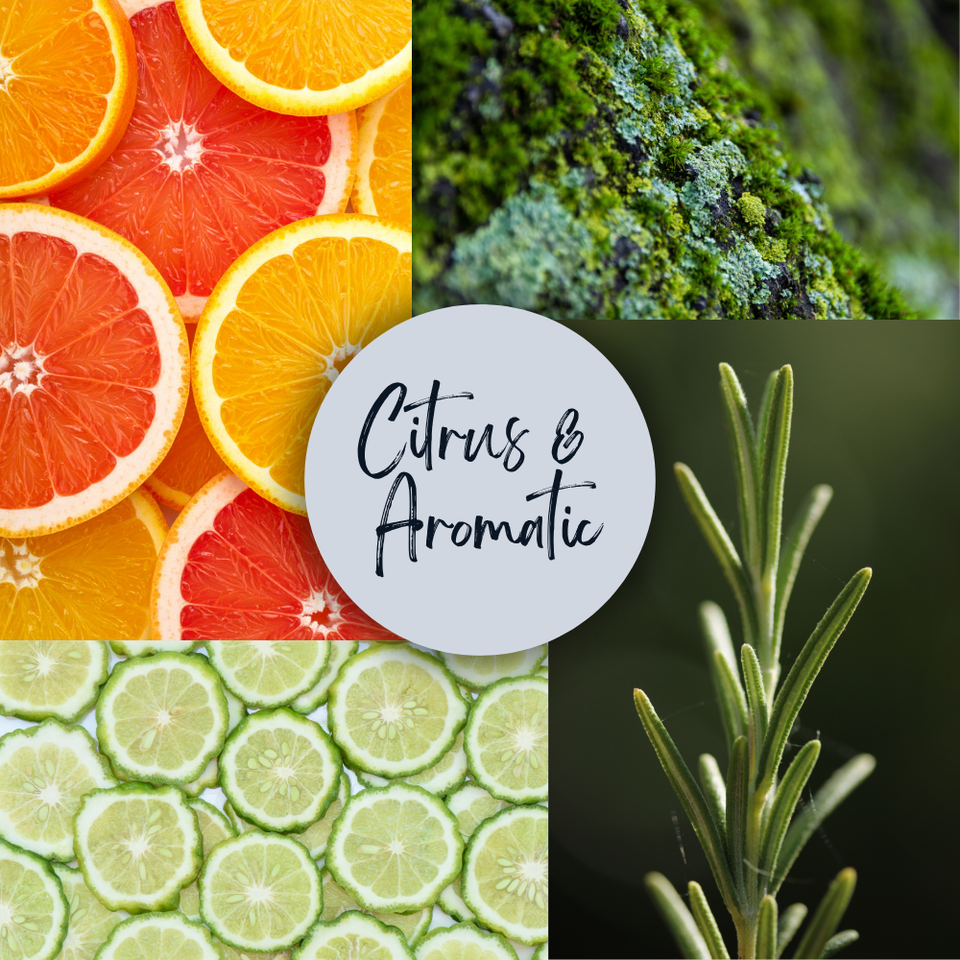 DOLCE & GABBANA LIGHT BLUE POUR HOMME 3.4 EDT (M)