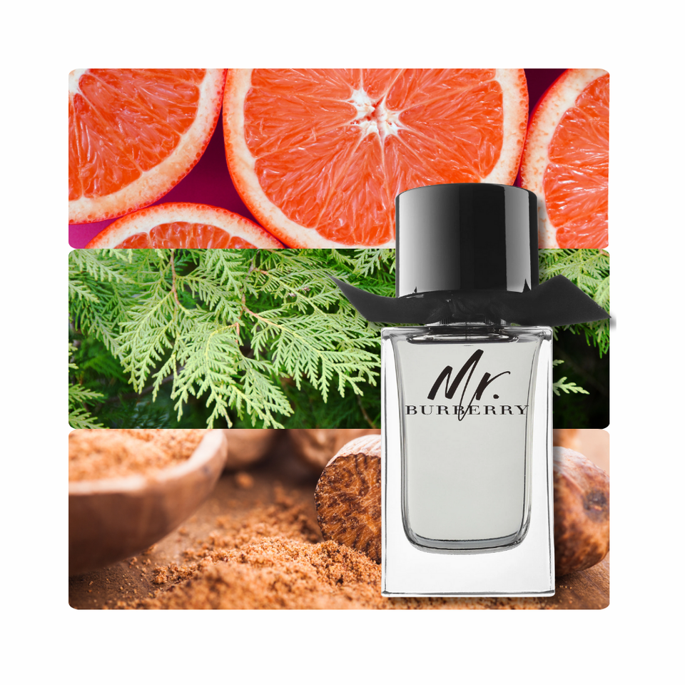 Burberry Mr. Burberry 3.3 Edt (M)