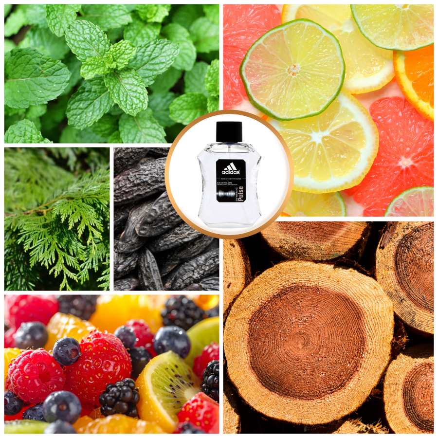 ADIDAS DYNAMIC PULSE 3.4 EDT (M)