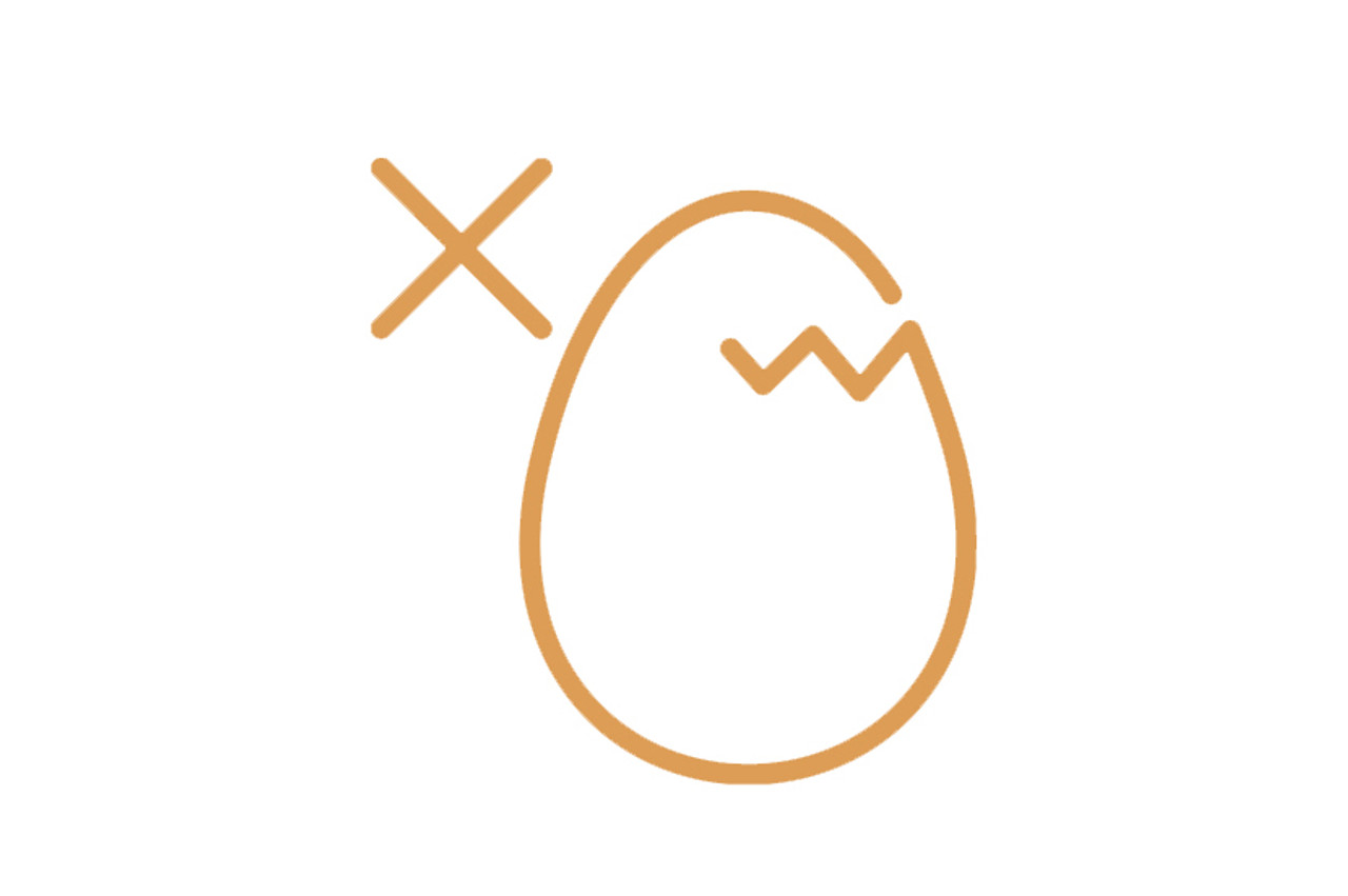 Egg Free Egg Free