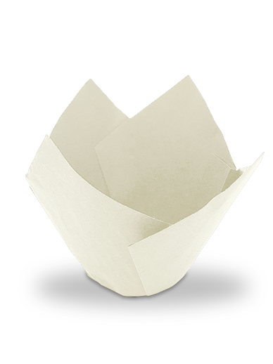 one white coloured tulip case