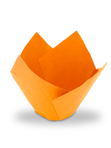 one orange tulip case