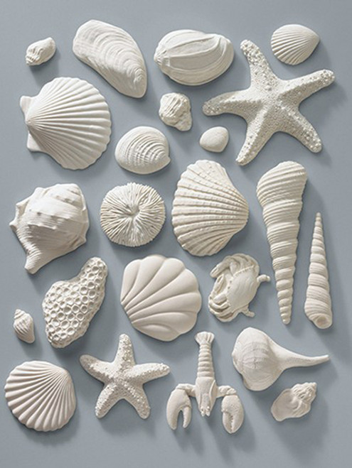 Gumpaste Sea Shell Assortment - Pack of 23