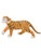 Shere Khan the Tiger from "The Jungle Book" - Cake Topper / Figurine