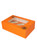 Halloween Cobweb Cupcake Box -Holds 6