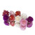 Amaranth Pom Pom Dried Edible Flowers - 3g