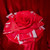Colour Mill - Decorators Dough 250g - Red