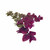 Oxford Blue Pressed Edible Flowers - Pink