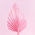Palm Spear - Pink Glitter Ombre