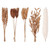 Dried Flower Box - Mixed Gold