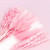 Dried Flower Box - Mixed Hot Pink