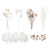Gold & White dried mixed flowers in a box separated into types of flower