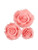 Soft Sugar Roses - Mixed Pack - Pink