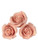 Medium Soft Sugar Roses - Rose Gold 38mm - Box of 20