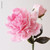 flower example using pale pink sugar florist paste