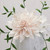 a flower using cream Sugar Florist Paste