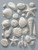 Gumpaste Sea Shell Assortment - Pack of 23